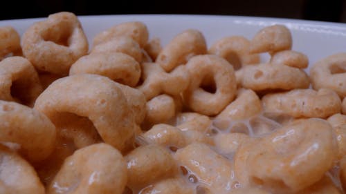 有关早餐, 浸泡, 牛奶的免费素材视频