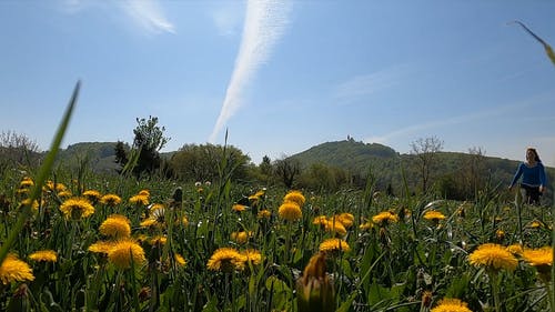 有关享受, 天性, 女人的免费素材视频