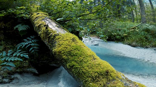 有关4k, 4k 桌面, 全景的免费素材视频