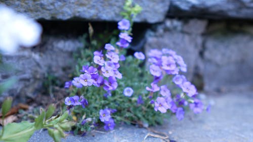 有关岩石, 工厂, 户外的免费素材视频