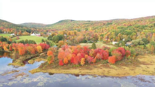 秋天的树木与领域的鸟瞰图 · 免费素材视频