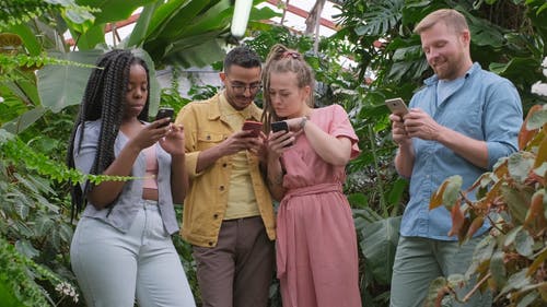 一群人忙着在温室内使用手机 · 免费素材视频