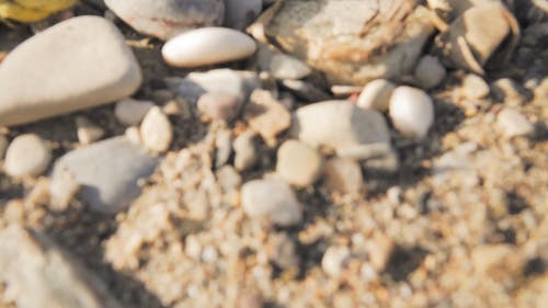 地面上不同大小和形状的石头 · 免费素材视频