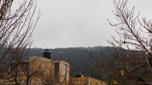 有关天空, 有雾的早晨, 游戏中时光倒流的免费素材视频