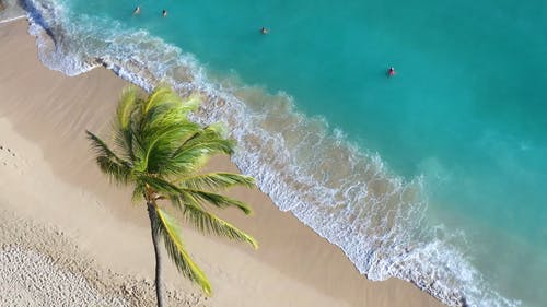 有关beachlovers, 假期, 夏威夷的免费素材视频