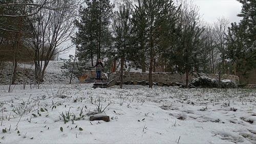 有关一起, 下雪, 下雪的的免费素材视频