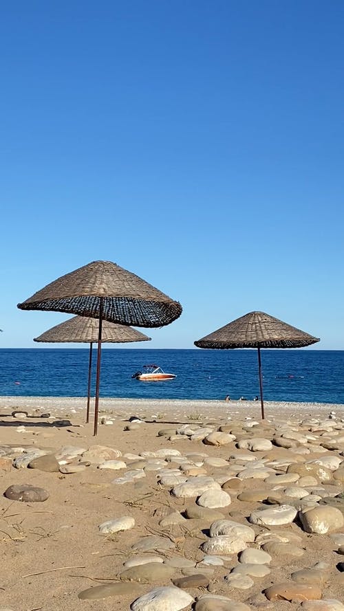 有关乾草, 垂直视频, 户外的免费素材视频