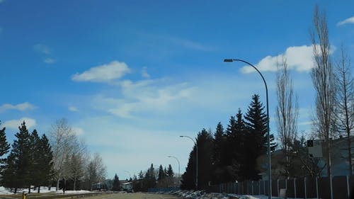 有关居住区, 摩托车, 无叶的树木的免费素材视频