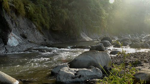 白天河的视频 · 免费素材视频
