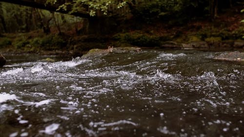有关天性, 岩石, 慢动作的免费素材视频