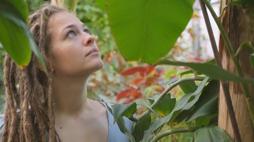 一个女人抚摸树叶的光滑表面 · 免费素材视频