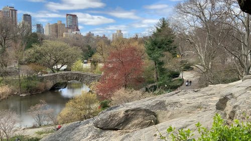 有关中央公园, 公园, 天性的免费素材视频