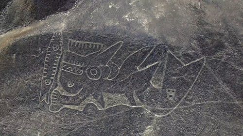 有关@户外, 主题, 人物的免费素材视频