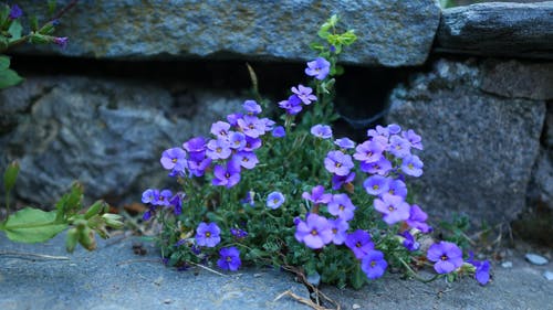 有关岩石, 工厂, 户外的免费素材视频