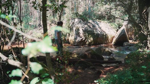 有关天性, 平衡, 户外的免费素材视频