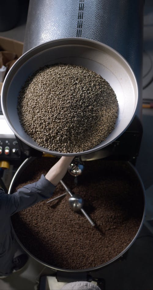 在工厂加工生咖啡豆 · 免费素材视频