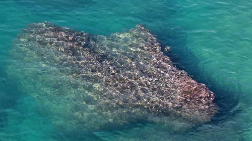 一块巨石被淹没在海的浅水区的水下 · 免费素材视频