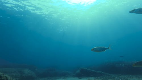 有关岩石, 水, 水下的免费素材视频