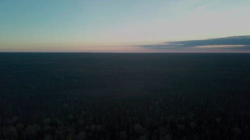 一片茂密的森林覆盖的广阔土地 · 免费素材视频