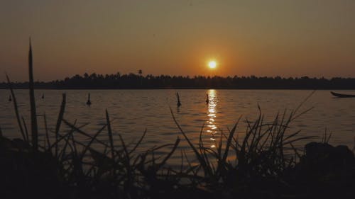 有关低角度拍摄, 剪影, 天性的免费素材视频