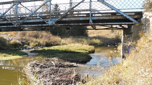 溪流上建的钢桥 · 免费素材视频