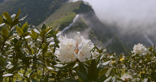 有关4k, 4k50fps, 冒险的免费素材视频