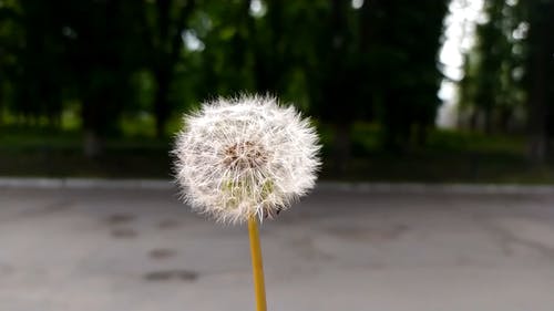 有关宏观, 工厂, 弹簧的免费素材视频