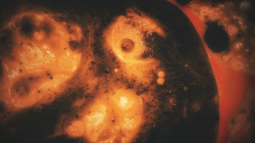 有关宏观, 慢动作, 抽象的免费素材视频