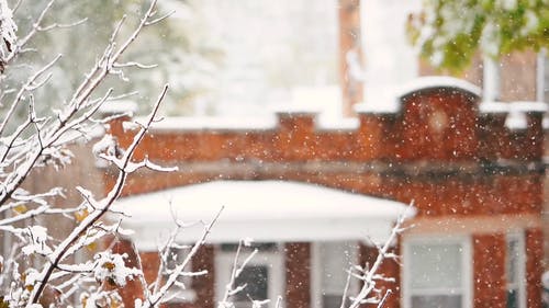 下雪天 · 免费素材视频