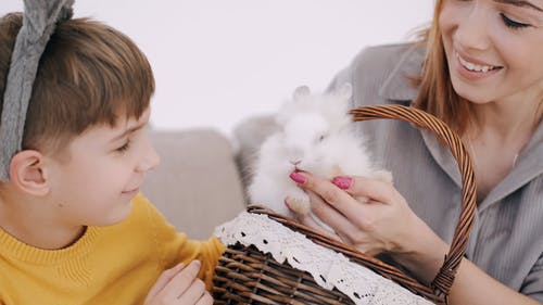 有关一起, 儿童, 兔子的免费素材视频
