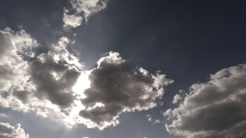 有关低角度, 光束, 太阳的免费素材视频