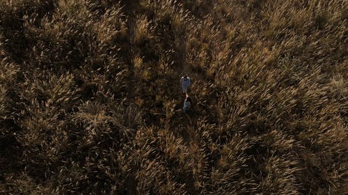 有关人, 俯视图, 户外的免费素材视频