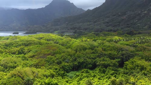 有关多云的天空, 天性, 山的免费素材视频