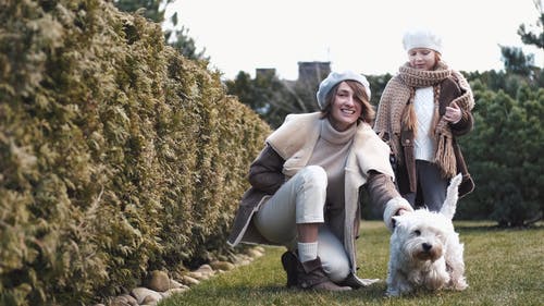 有关儿童, 可爱, 可爱的的免费素材视频