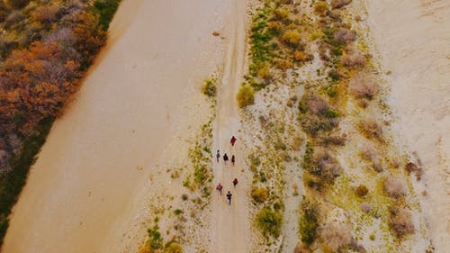 一群人在沙漠中徒步旅行 · 免费素材视频