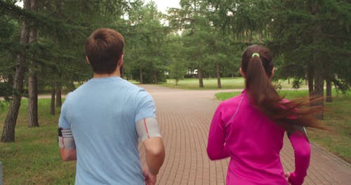 一个男人和女人在公园里慢跑的背面 · 免费素材视频