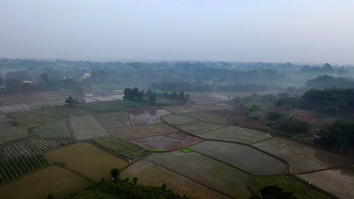 有关下田, 农业用地, 农地的免费素材视频