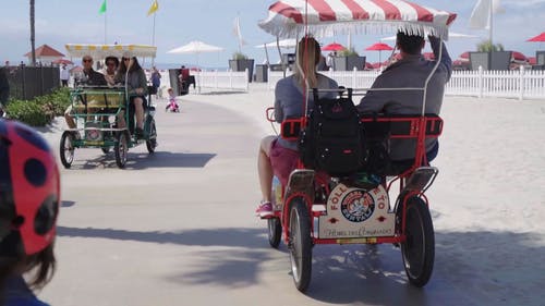 一群家庭喜欢在湾畔散步和骑自行车 · 免费素材视频