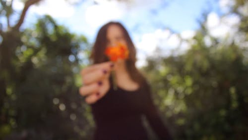一个女人抱着一朵花 · 免费素材视频