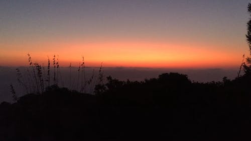 有关剪影, 天性, 户外的免费素材视频