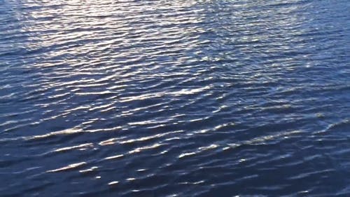 有关图案, 天性, 抽象的免费素材视频