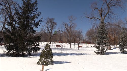 有关公园, 冬季, 加拿大的免费素材视频