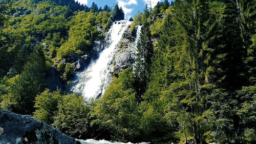 有关天性, 天空, 森林的免费素材视频