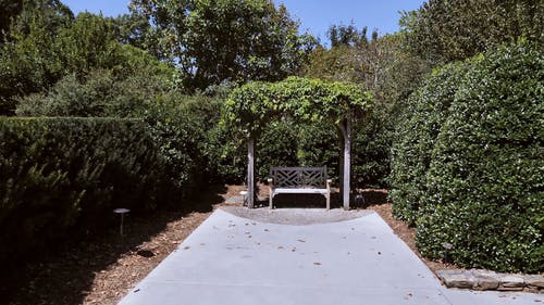 有关nc植物园, 公园, 小径的免费素材视频