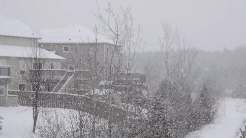 有关下雪, 下雪的, 下雪的天气的免费素材视频