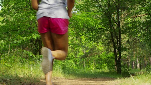 一群妇女在树林里奔跑 · 免费素材视频