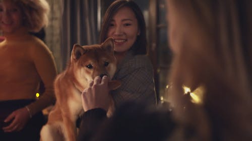 一群人取笑一只爱犬用面包为食物 · 免费素材视频