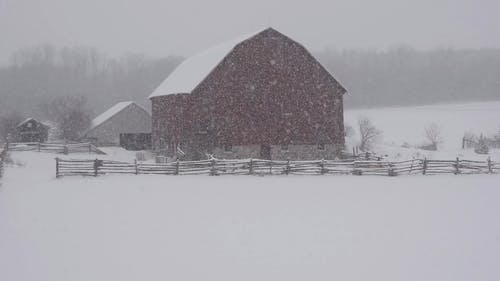 有关下雪的, 冷, 围栏的免费素材视频