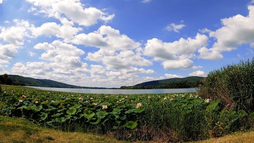 有关4k 桌面, 丘陵, 地面射击的免费素材视频