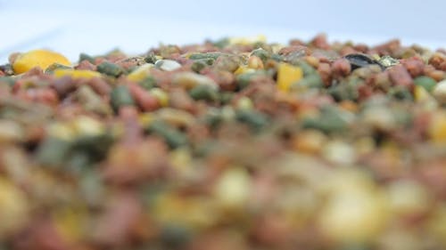 有关加工食品, 动物营养, 小球的免费素材视频